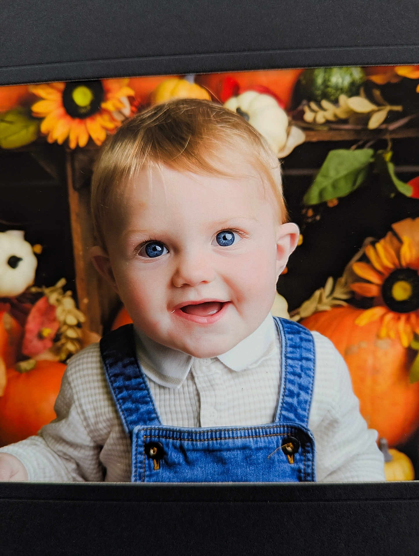 Dennis is registered to the contest to win money with this photo: baby, child, toddler, portrait, smile, blue_eyes, denim_overalls, white_shirt, pumpkins, sunflowers, autumn, fall, happy, cute, face, person, indoor, seasonal, background, cheerful