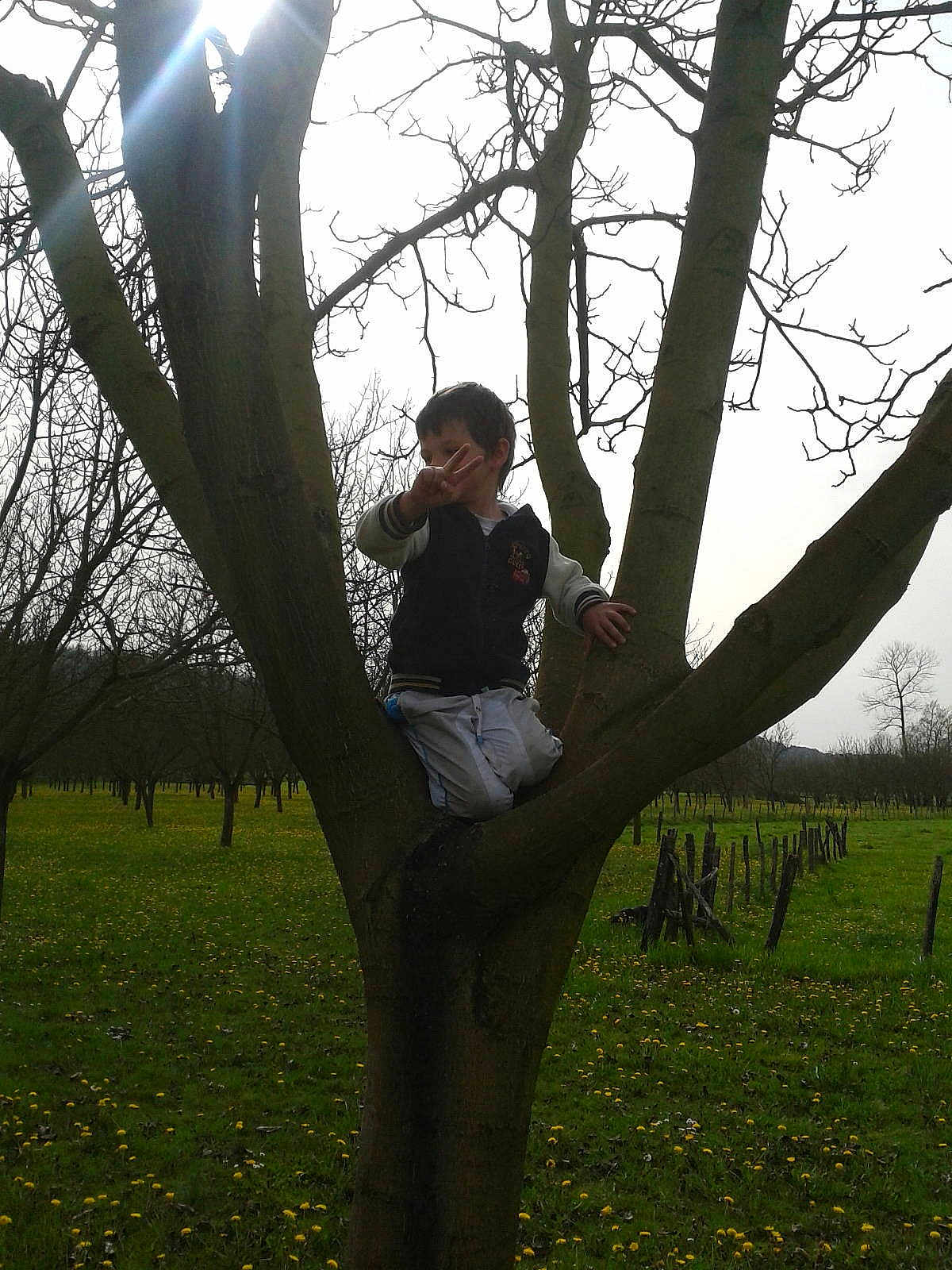 Matheo