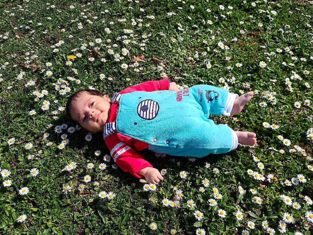 Mathias a rejoint le concours — aidez-le/la à gagner de superbes lots ! baby, baby_toddler_clothing, botany, flooring, flower, grass, grass_family, grassland, green, groundcover, happy, lawn, leaf, meadow, nature, people_in_nature, person, petal, plant, shrub