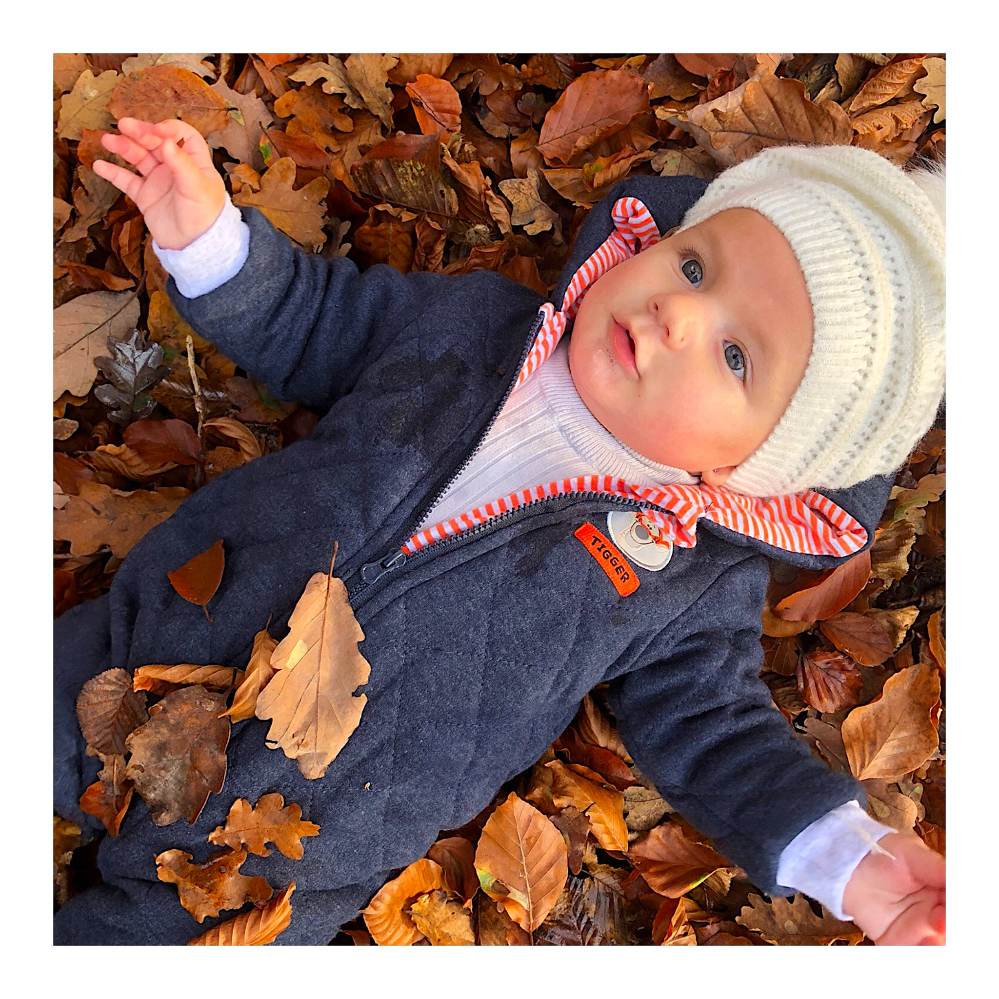 Inaya participe au concours pour gagner de l'argent avec cette photo : autumn, baby, baby_toddler_clothing, beanie, bonnet, child, glove, headgear, headwear, hood, human, knit_cap, person, toddler, wool