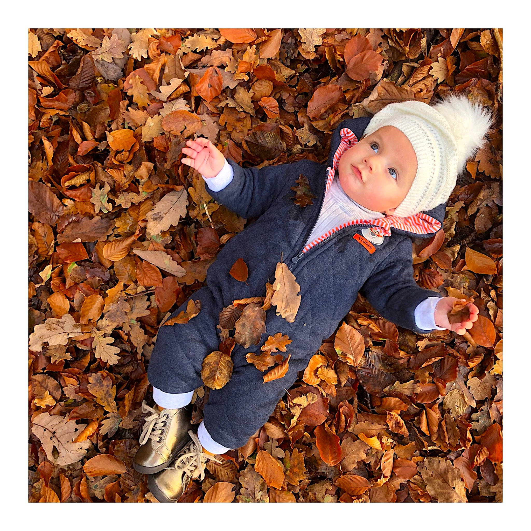 Inaya a rejoint le concours — aidez-le/la à gagner de superbes lots ! autumn, baby, baby_toddler_clothing, beanie, bonnet, deciduous, foot, headwear, human, jeans, knit_cap, outdoor_shoe, pebble, people_in_nature, person, shoe, walking_shoe