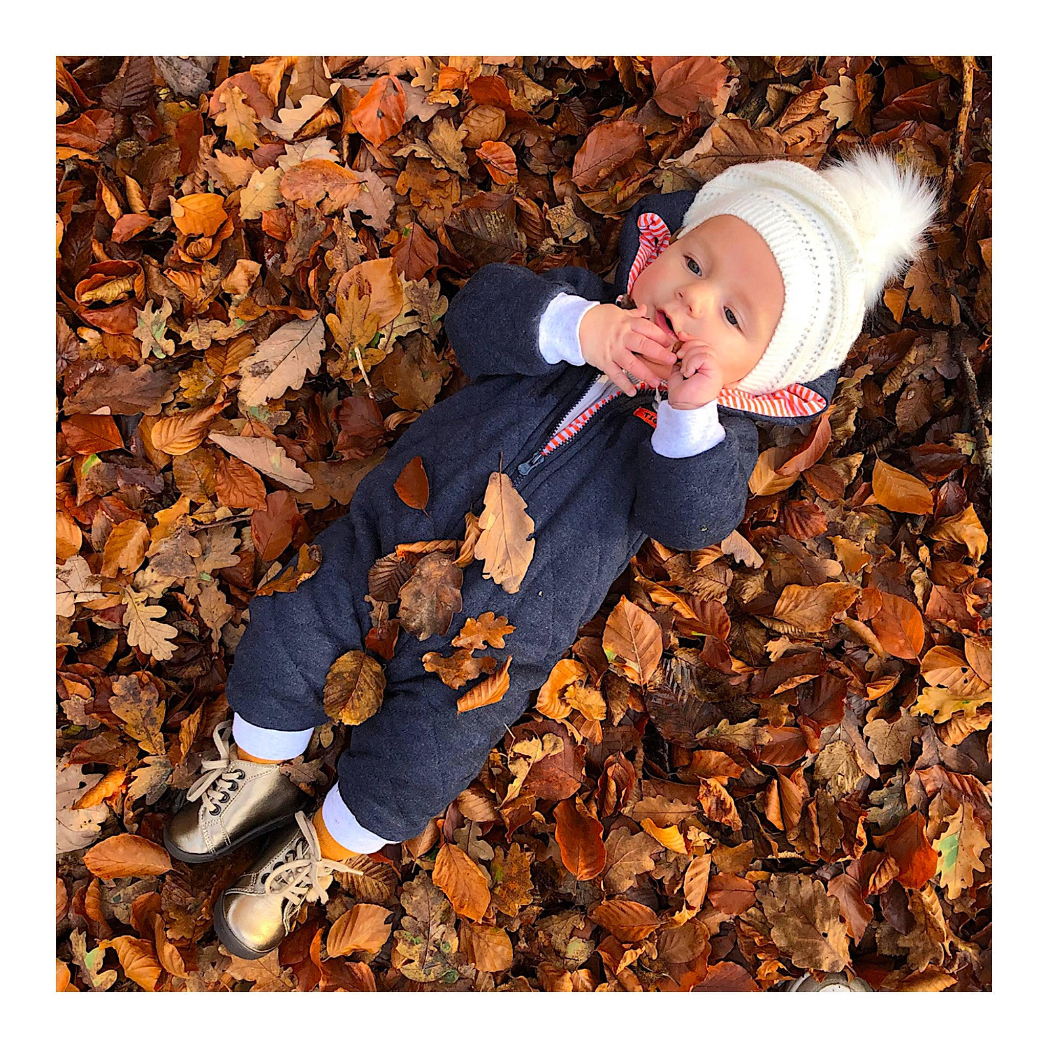 Inaya a rejoint le concours — aidez-le/la à gagner de superbes lots ! autumn, baby, baby_products, baby_toddler_clothing, beanie, bonnet, button, cheek, child, costume_accessory, deciduous, headwear, human, outdoor_shoe, people_in_nature, person, product, sock, toddler, walking_shoe