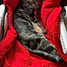 cat, tabby_cat, sleeping, red_blanket, chair, sunlight, cozy, pet, indoor, feline, resting, fur, comfort, animal, cute, nap, home, relaxation, texture, warmth