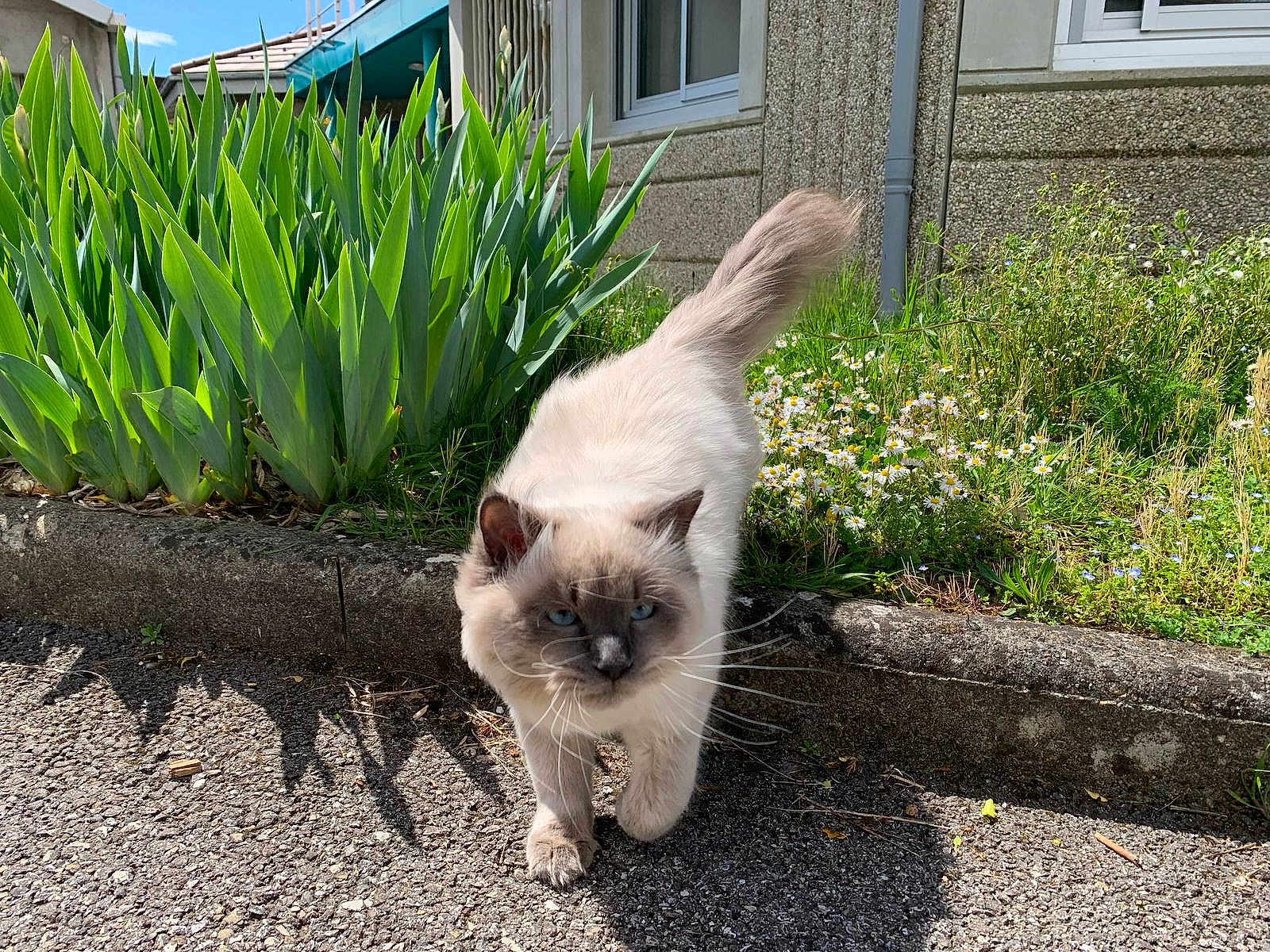 Zeïa