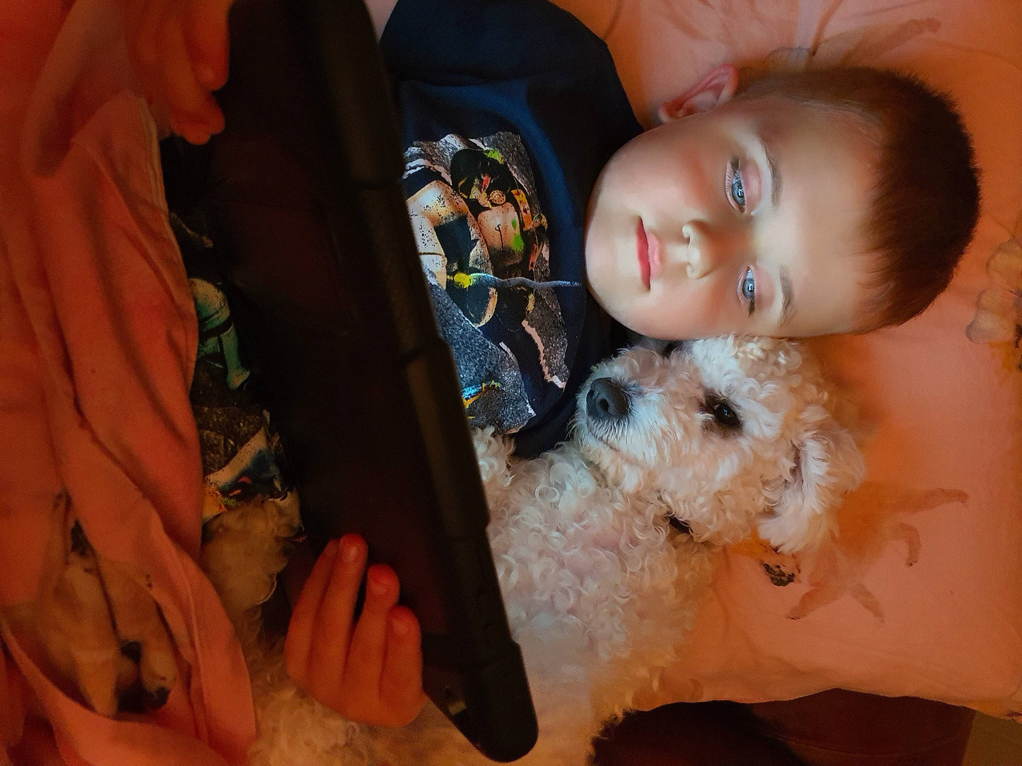 Matias joined the competition — help win amazing prizes! baby, child, ear, eyelash, fawn, finger, fun, hairstyle, hand, happy, human_body, iris, mammal, mouth, nose, organ, person, skin, textile, toddler