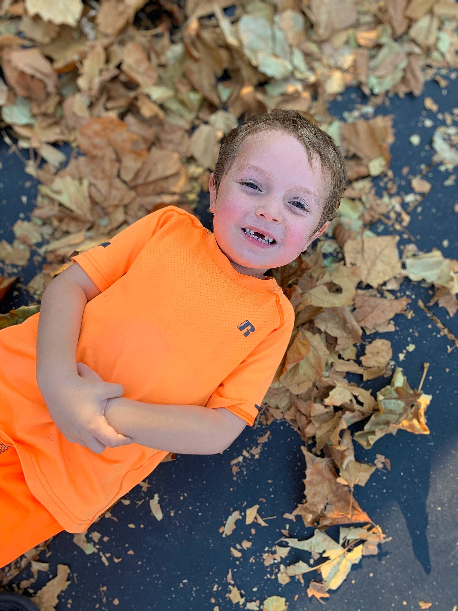 Bryson joined the competition — help win amazing prizes! autumn, baby, child, deciduous, flash_photography, fun, grass, happy, leisure, orange, people_in_nature, person, plant, rock, sand, sitting, smile, soil, toddler, tree