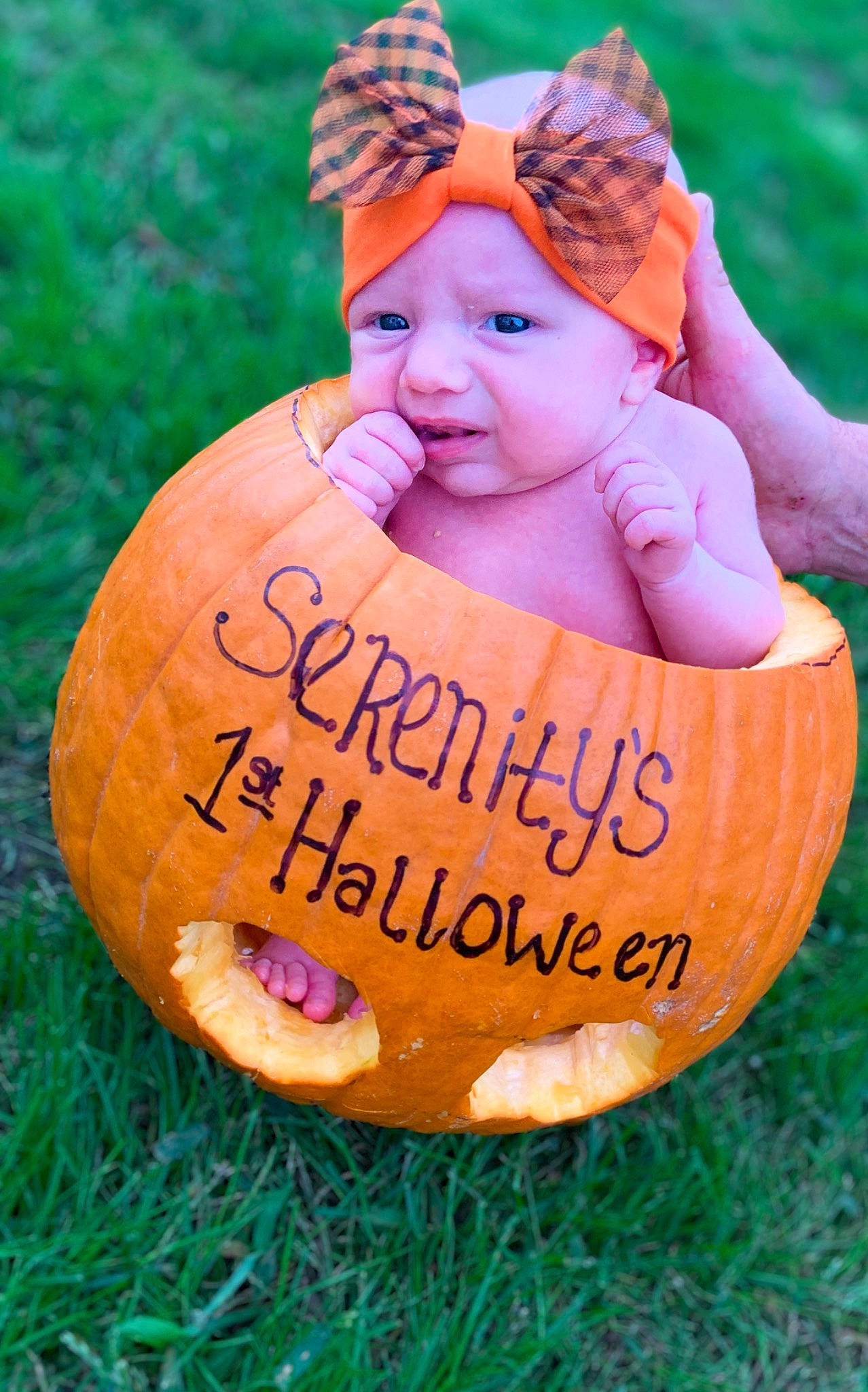 Serenity is registered to the contest to win money with this photo: calabaza, cap, child, cucurbita, fruit, gourd, grass, happy, hat, headwear, jeans, leaf, natural_foods, orange, people_in_nature, person, plant, pumpkin, toddler, tree