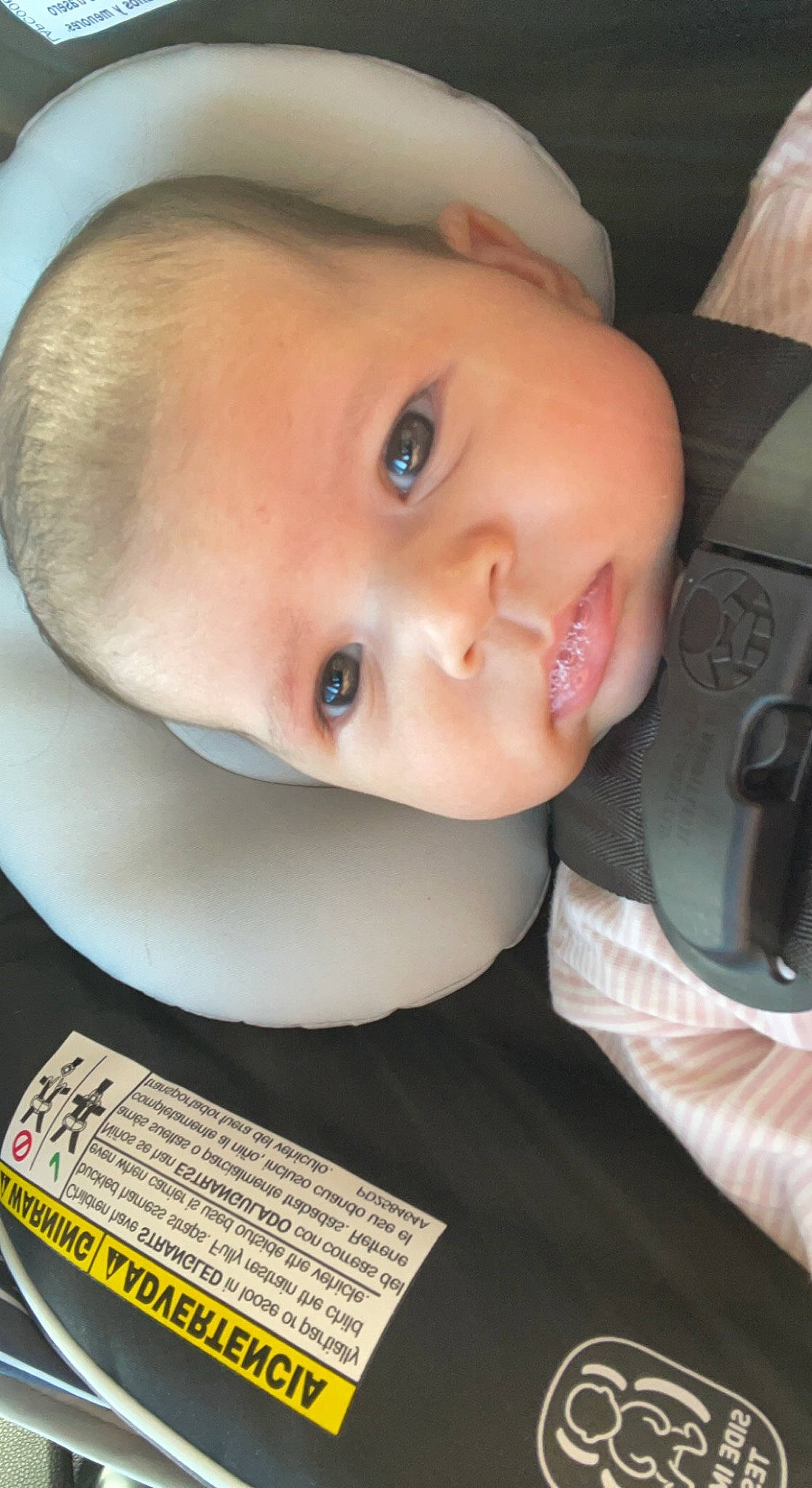 Solstice is registered to the contest to win money with this photo: baby, baby_products, baby_toddler_clothing, cheek, child, eye, eyebrow, eyelash, fashion_accessory, forehead, headgear, helmet, iris, lip, nose, person, skin, smile, steering_wheel, toddler