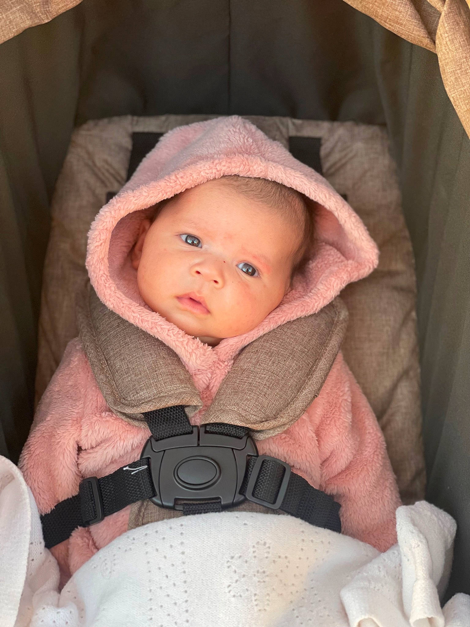 Solstice is registered to the contest to win money with this photo: baby, baby_carriage, baby_products, baby_safety, baby_toddler_clothing, beauty, car_seat, cheek, child, comfort, eye, eyebrow, head, headwear, infant_bed, iris, outerwear, person, product, skin