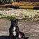 Xena