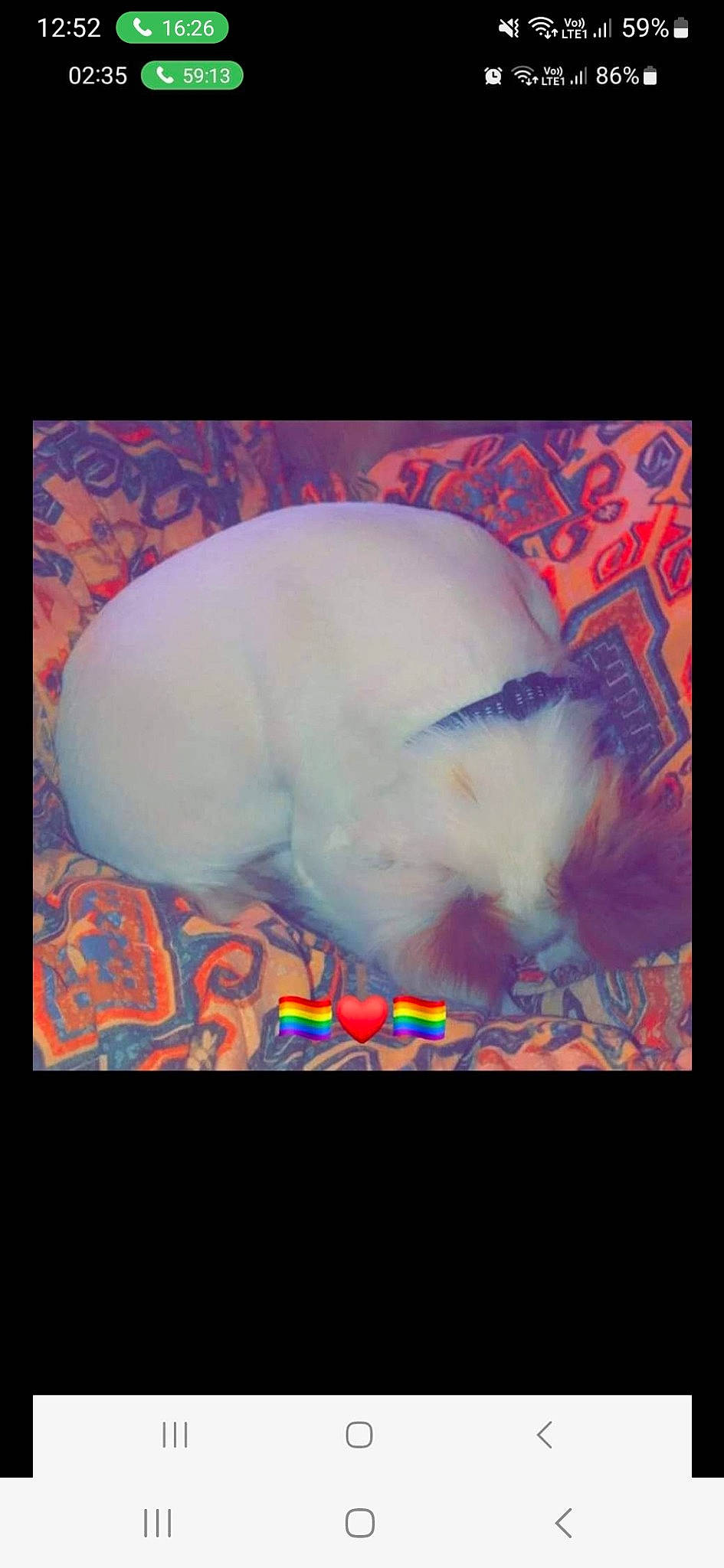 Milou a rejoint le concours — aidez-le/la à gagner de superbes lots ! darkness, display_device, electric_blue, event, flesh, font, fur, magenta, organism, pattern, paw, pink, projection_screen, rectangle, sky, tail, visual_arts