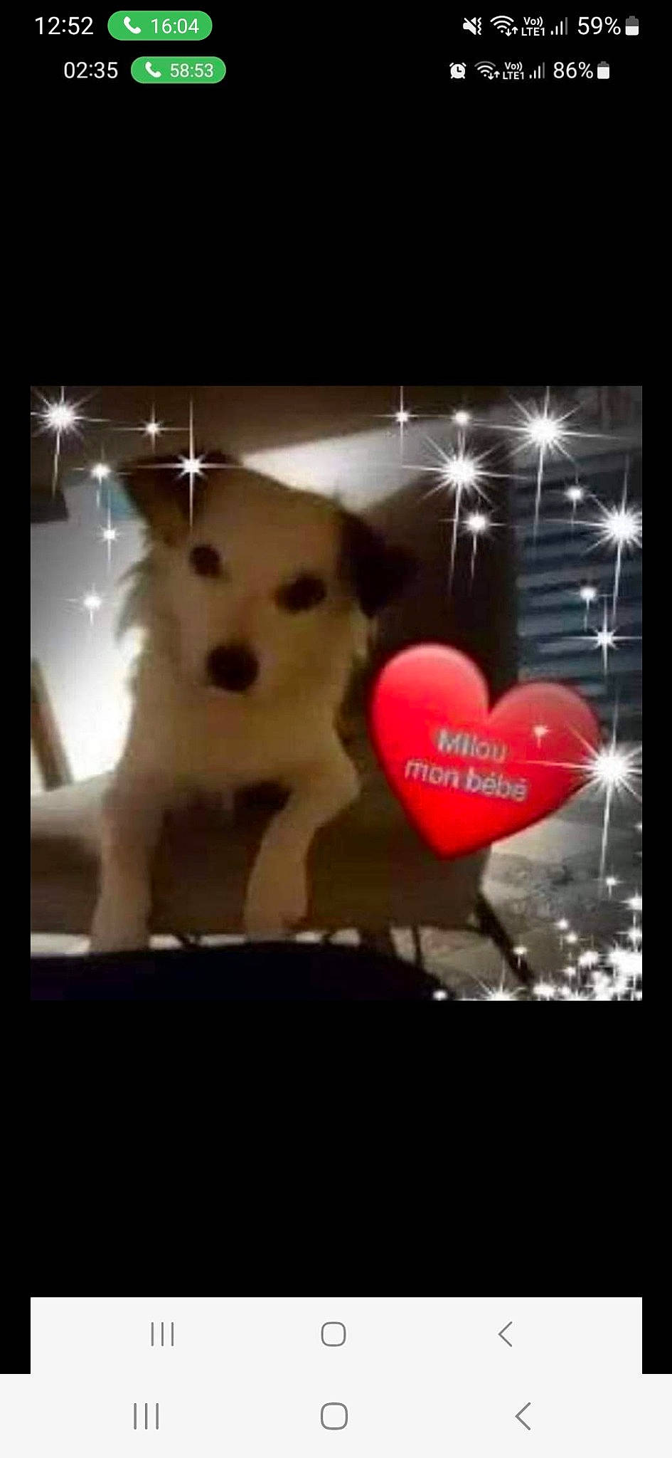 Milou participe au concours pour gagner de l'argent avec cette photo : ancient_dog_breeds, carnivore, companion_dog, darkness, dog, dog_breed, dog_supply, event, font, fur, happy, heart, light, mammal, photo_caption, sporting_group, tail, toy_dog, vertebrate, working_animal