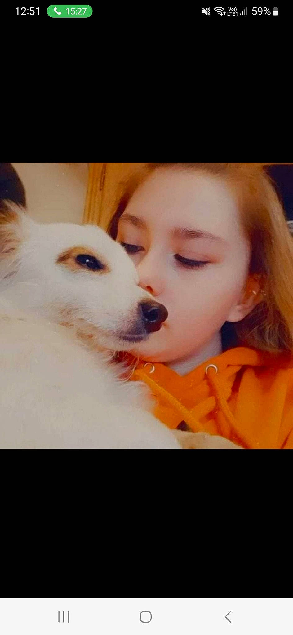 Milou participe au concours pour gagner de l'argent avec cette photo : canidae, carnivore, companion_dog, dog, dog_breed, ear, eyelash, fawn, fur, happy, jaw, love, nose, photo_caption, portrait_photography, selfie, snout, sporting_group, toy_dog, whiskers