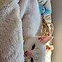 Ariel a rejoint le concours — aidez-le/la à gagner de superbes lots ! animal, blanket, cat, close_up, comfort, cozy, cute, ears, feline, fur, indoors, pet, pink_nose, relaxation, resting, sleepy, soft, warm, whiskers, white_cat