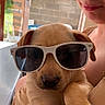 brick_wall, canine, casual, cute, dog, face, holding, light, love, outdoor, person, pet, puppy, shade, smiling, summer, sunglasses, umbrella, window, young