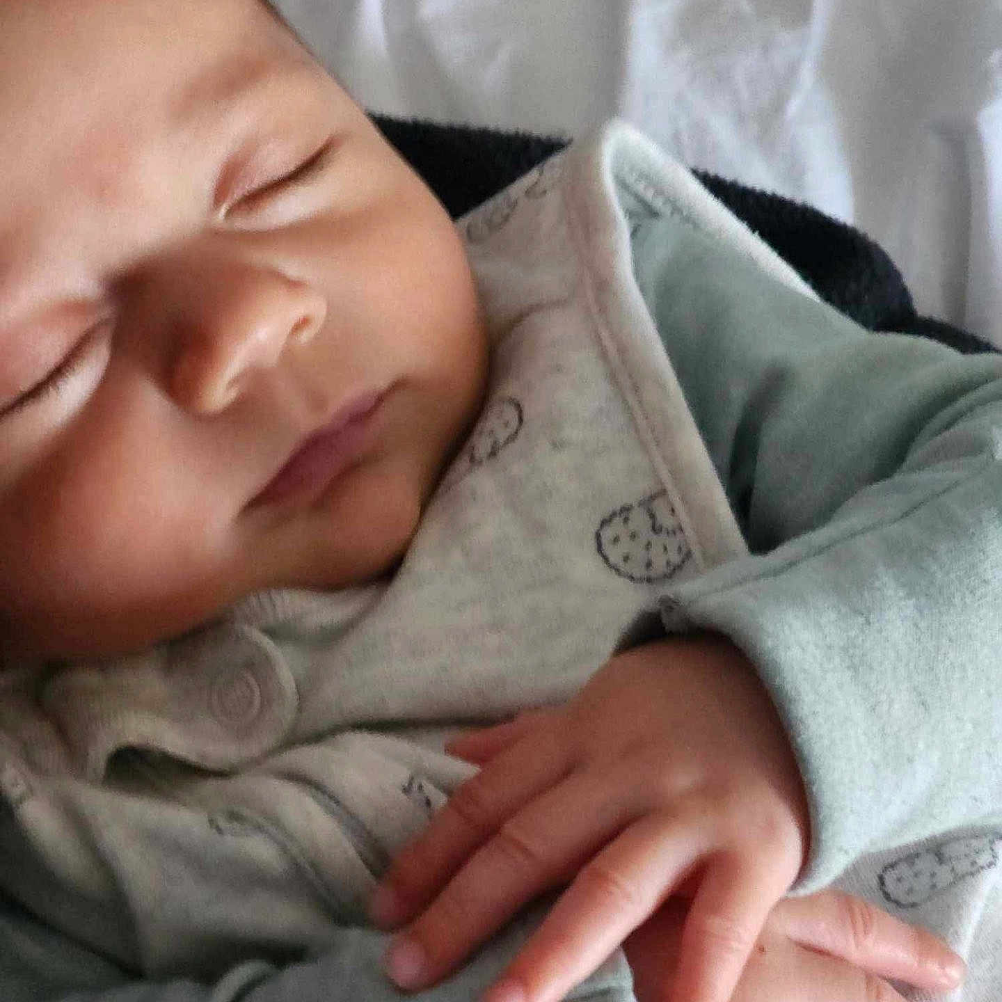 Jacobi joined the competition — help win amazing prizes! baby, blanket, bodypart, clothing, coat, cushion, face, finger, hand, head, homedecor, jacket, knitwear, newborn, person, photography, portrait, quilt, sleeping, sweater