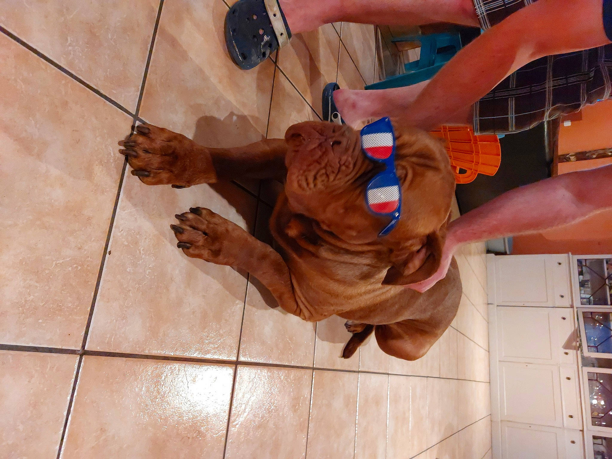 Popeye participe au concours pour gagner de l'argent avec cette photo : arm, art, chest, elbow, eyewear, finger, flooring, foot, fun, gesture, hand, human_leg, knee, nail, room, thumb, wood, wood_stain, wrinkle, wrist