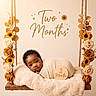 baby, infant, two_months, wrapped, blanket, fur_cushion, wooden_swing, flowers, roses, sunflowers, decor, rope, portrait, cute, milestone, studio, photography, soft_lighting, neutral_background, child
