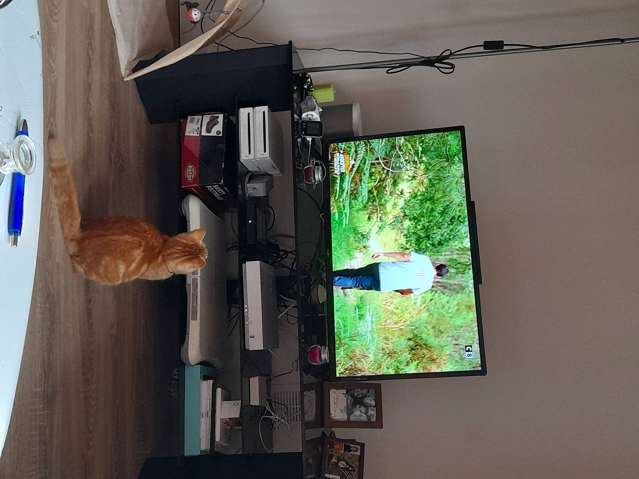 Tanjiro a rejoint le concours — aidez-le/la à gagner de superbes lots ! art, building, ceiling, display_device, hardwood, machine, projector_accessory, room, sky, television, tire, tree, visual_arts, wall, wood