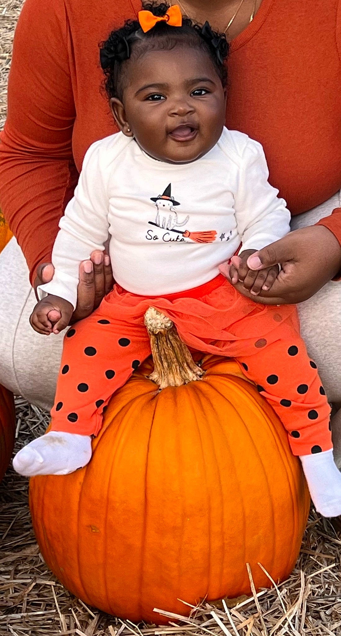 Ani is registered to the contest to win money with this photo: art, calabaza, child, creative_arts, cucurbita, gourd, happy, natural_foods, orange, people, people_in_nature, person, photograph, plant, pumpkin, sleeve, squash, toddler, vegetable, white