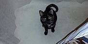 Calliope is registered to the contest to win money with this photo: