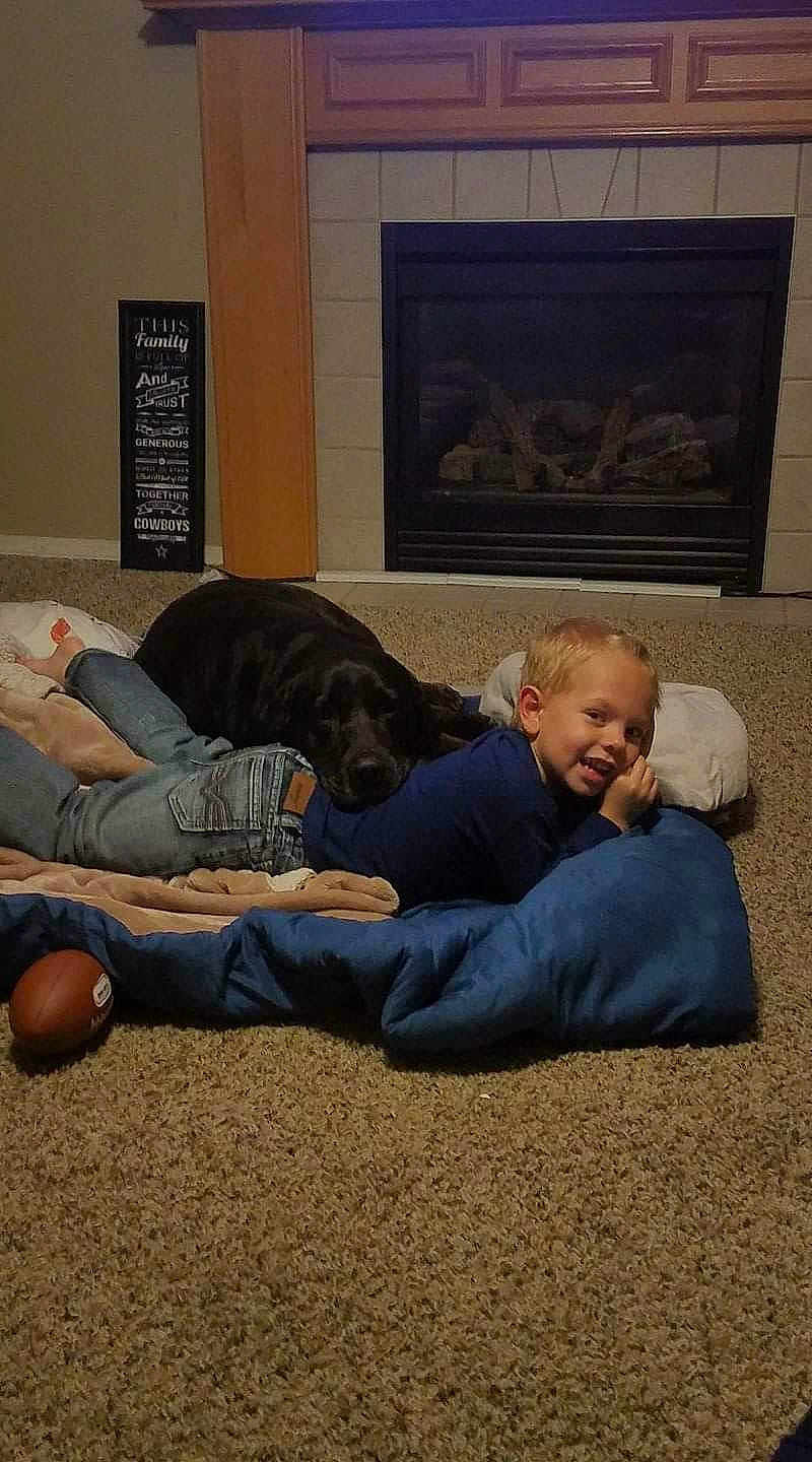 Camo is registered to the contest to win money with this photo: carpet, comfort, companion_dog, floor, flooring, foot, fun, fur, grass, grey, hardwood, human, jeans, living_room, nap, room, sitting, smile, toddler, wood