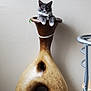 animal, cat, ceramic, chair, curious, decor, domestic_animal, feline, fur, gray_cat, household_item, indoor, paws, pet, relaxed, sitting, still_life, unique_shape, vase, wall