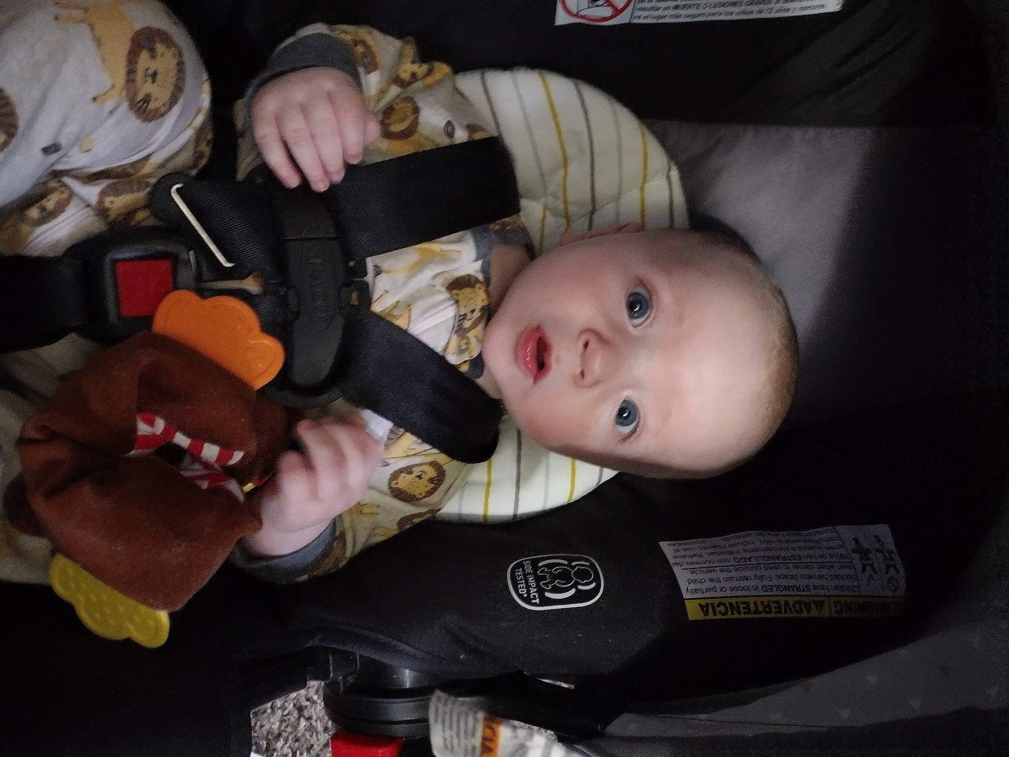 Dylan is registered to the contest to win money with this photo: auto_part, baby, baby_carriage, baby_products, baby_safety, baby_toddler_clothing, car_seat, cheek, child, comfort, finger, fun, hand, lap, nail, person, personal_protective_equipment, room, sitting, thumb