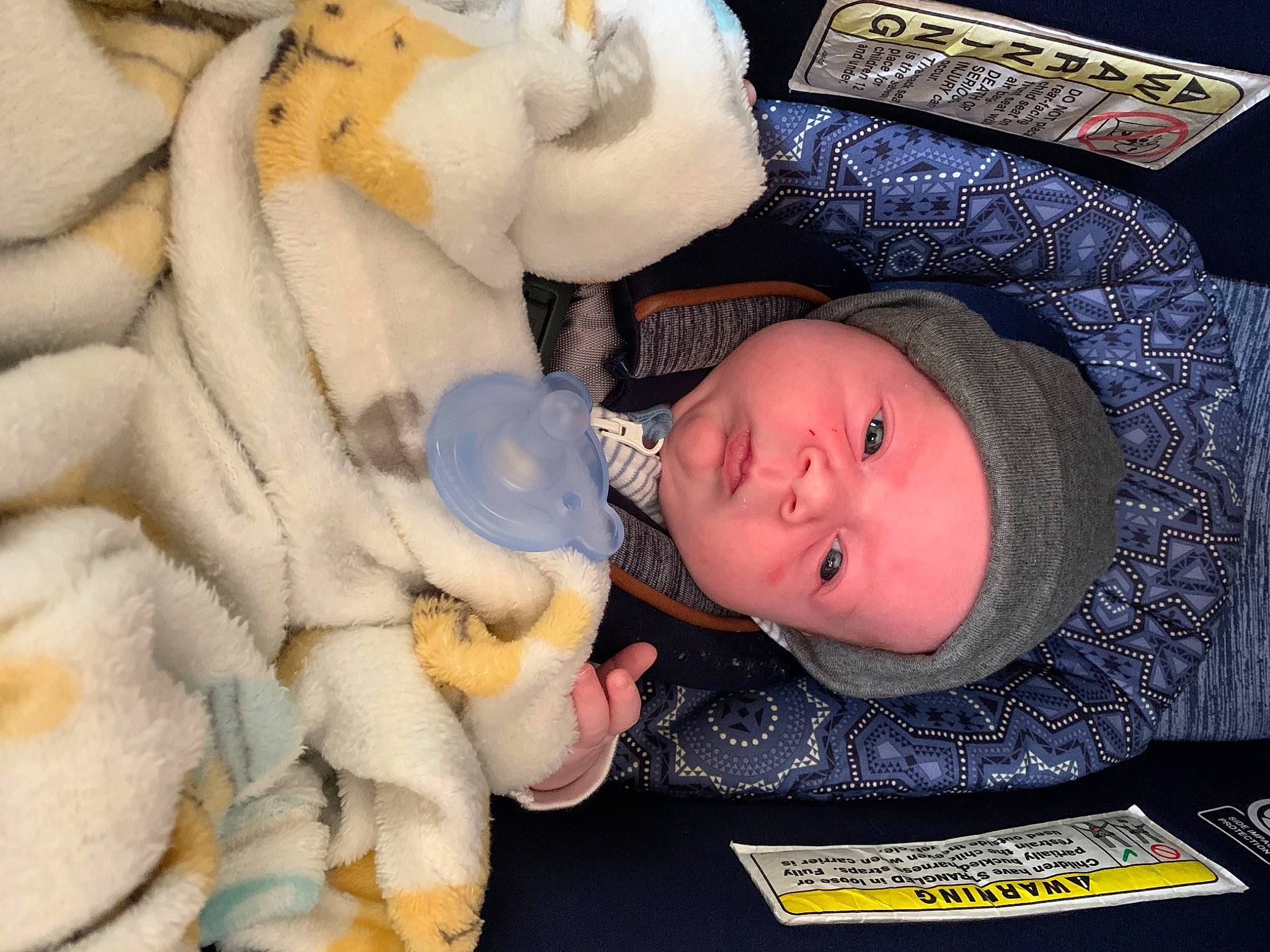 Craysin is registered to the contest to win money with this photo: baby, baby_products, baby_safety, baby_sleeping, baby_toddler_clothing, baby_toys, cheek, child, comfort, fur, headgear, headwear, linens, person, plush, room, skin, stuffed_toy, teddy_bear, textile