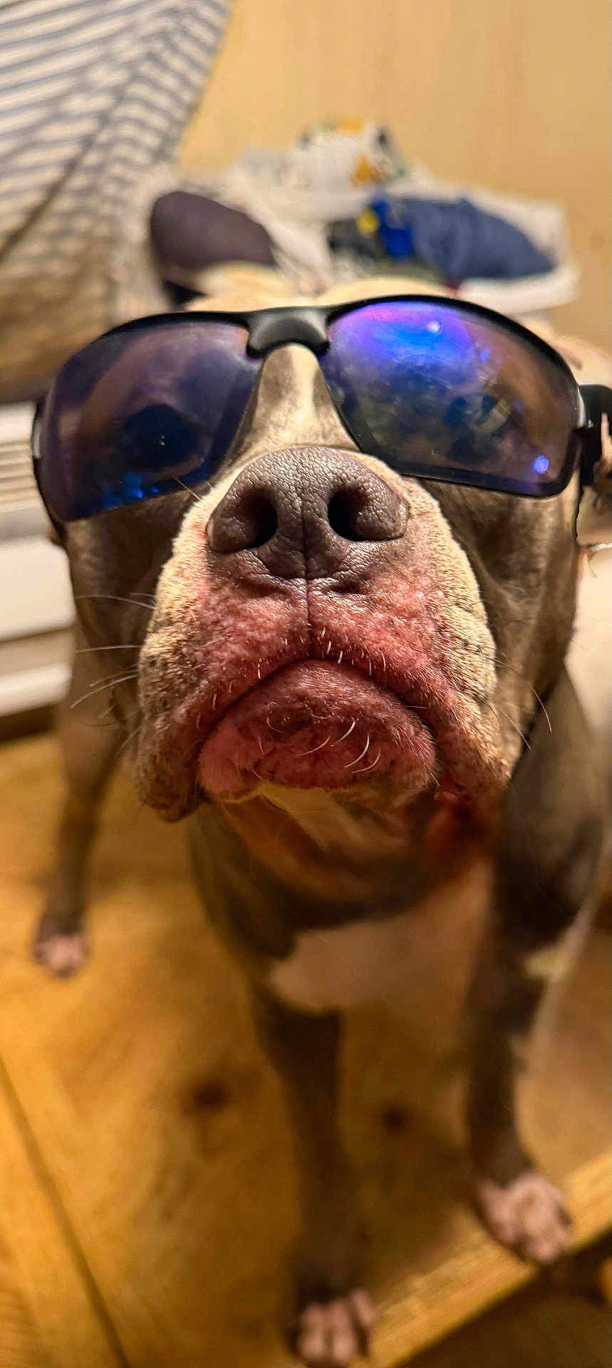 Zeus