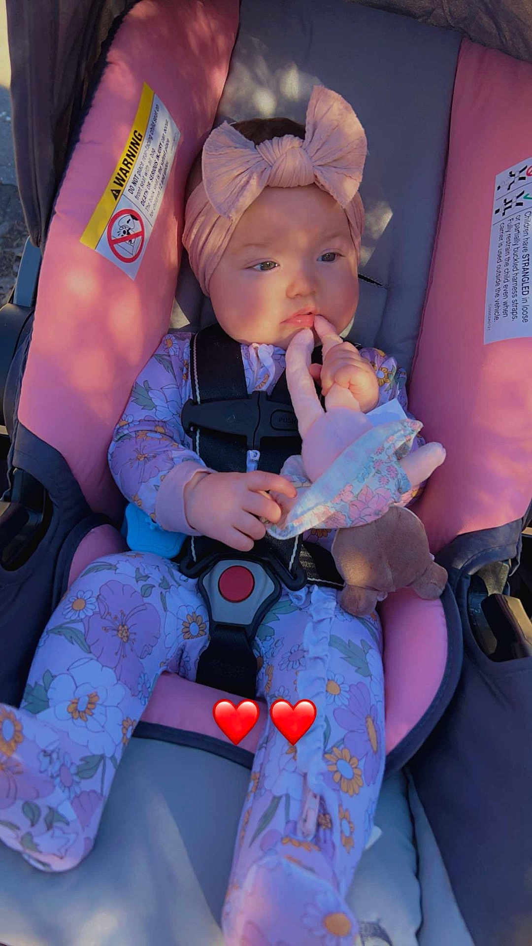 Charlotte is registered to the contest to win money with this photo: baby, child, car_seat, headband, pink, floral, onesie, toy, hand, face, sitting, seatbelt, comfort, indoor, shadow, sunlight, cute, infant, young_child, peaceful