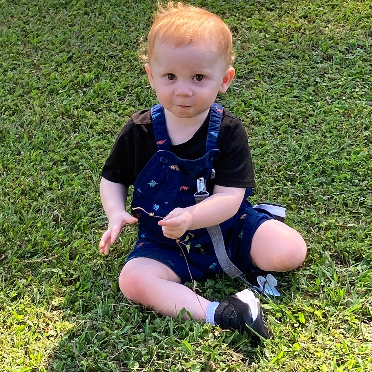 Camdyn joined the competition — help win amazing prizes! backyard, ball, boy, child, clothing, face, grass, head, lawn, male, nature, outdoors, pants, park, person, photography, plant, portrait, shorts, yard