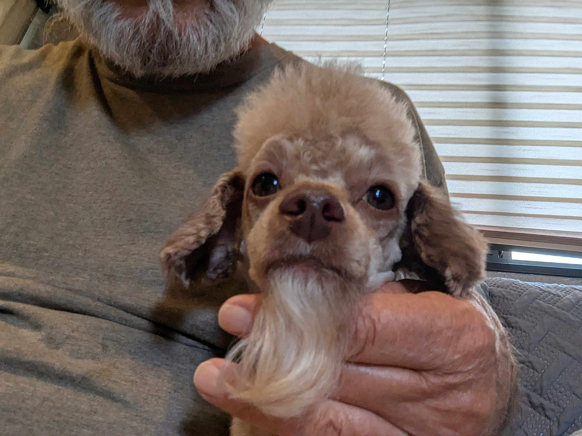 Harvey
