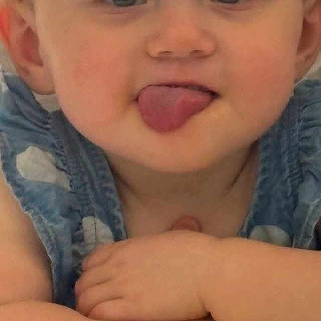 Willow