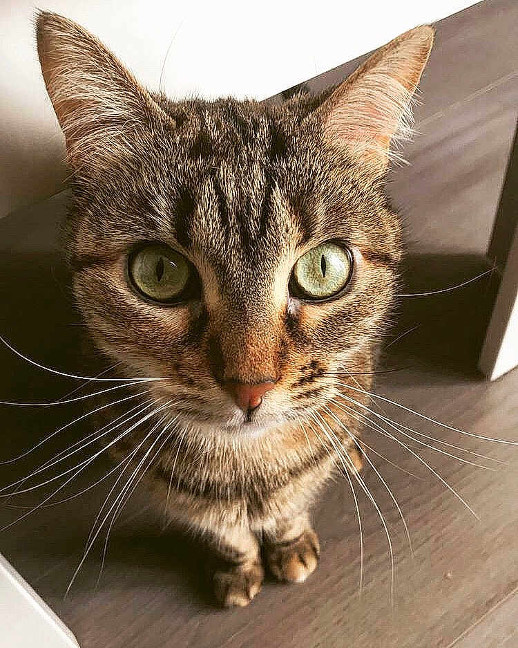 Luna