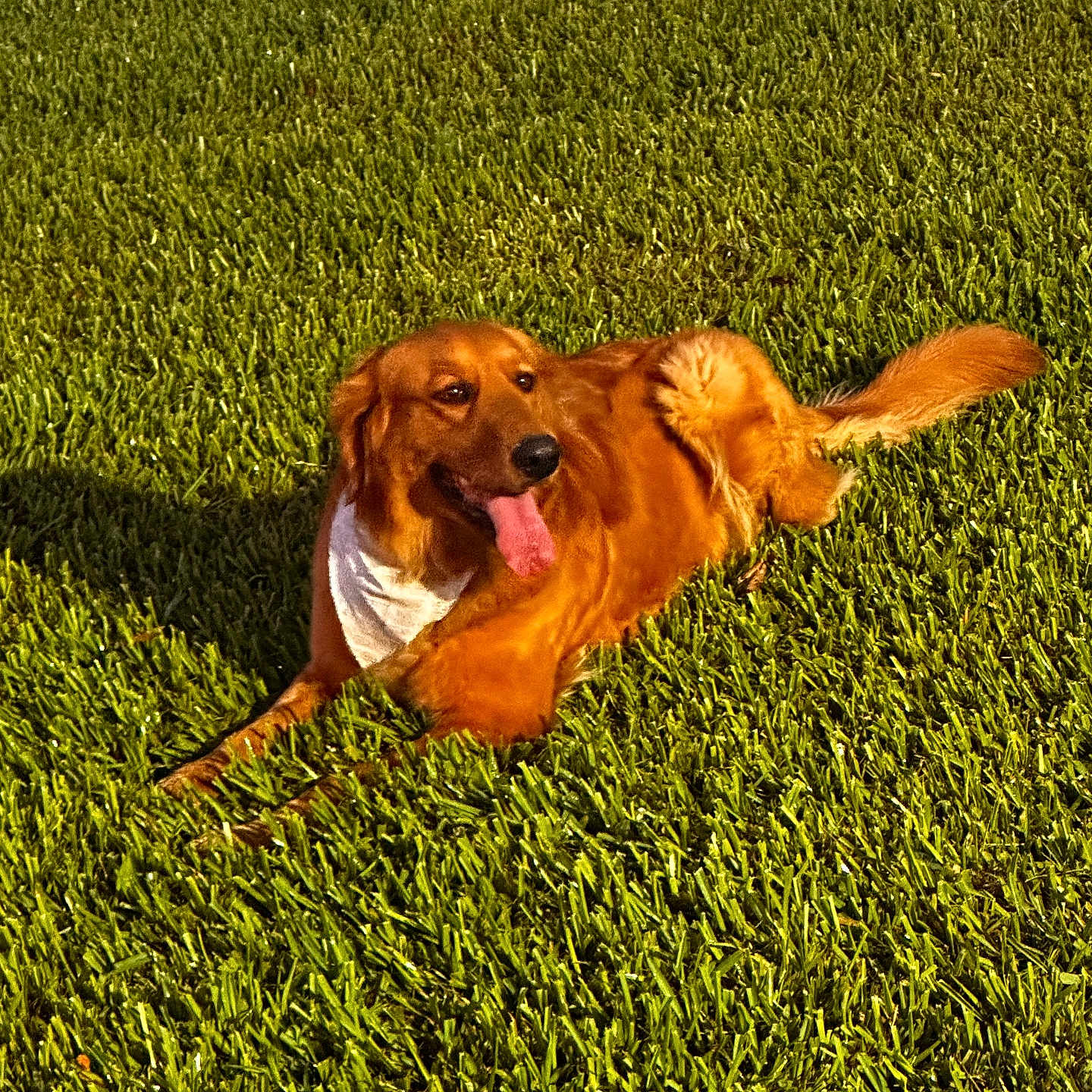Luna