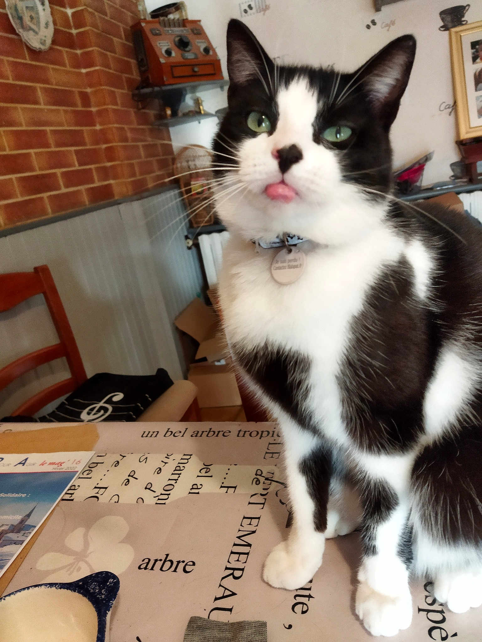 Berlioz