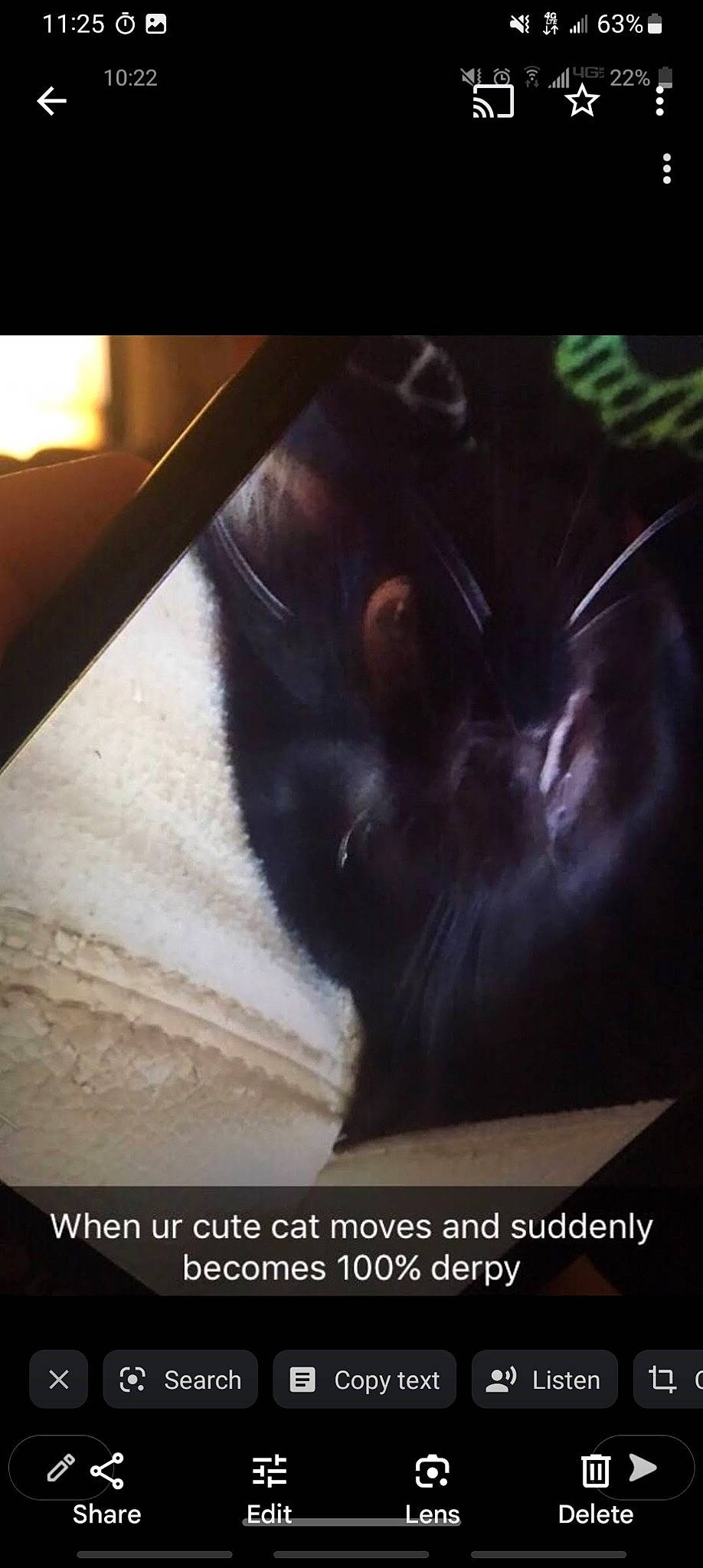 Stormaggedon is registered to the contest to win money with this photo: carnivore, cat, cloud, comfort, darkness, felidae, font, foot, fur, liver, love, metal, photo_caption, rectangle, small_to_medium_sized_cats, square, tail, tints_and_shades, visual_arts, whiskers