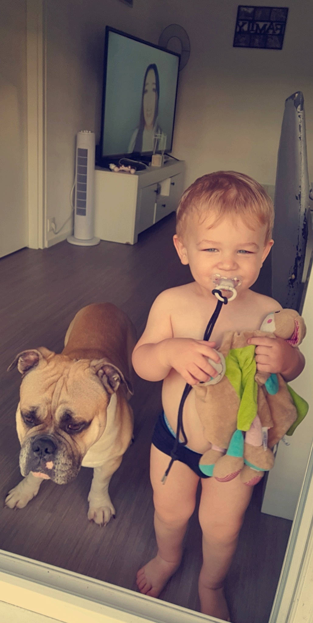 Thyago participe au concours pour gagner de l'argent avec cette photo : abdomen, baby, bulldog, carnivore, chest, companion_dog, dog, dog_breed, fawn, flooring, knee, person, skin, snout, television, thigh, thumb, toddler, toy_dog, trunk