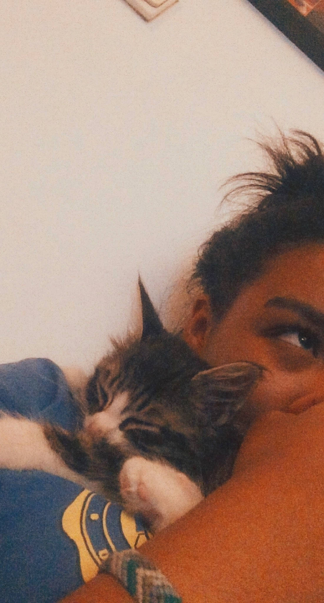 Oscar a rejoint le concours — aidez-le/la à gagner de superbes lots ! black_hair, brown_hair, carnivore, cat, comfort, domestic_short_haired_cat, eye_liner, eyebrow, eyelash, felidae, fur, human, iris, mammal, selfie, skin, small_to_medium_sized_cats, snout, whiskers