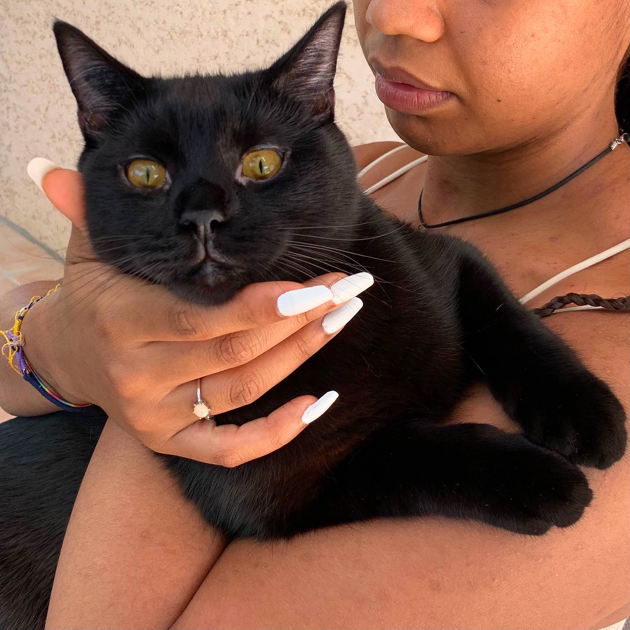 Roméo participe au concours pour gagner de l'argent avec cette photo : black_cat, black_hair, carnivore, cat, comfort, domestic_short_haired_cat, ear, elbow, eyewear, felidae, finger, fur, gesture, human_body, lap, nail, small_to_medium_sized_cats, snout, thigh, whiskers