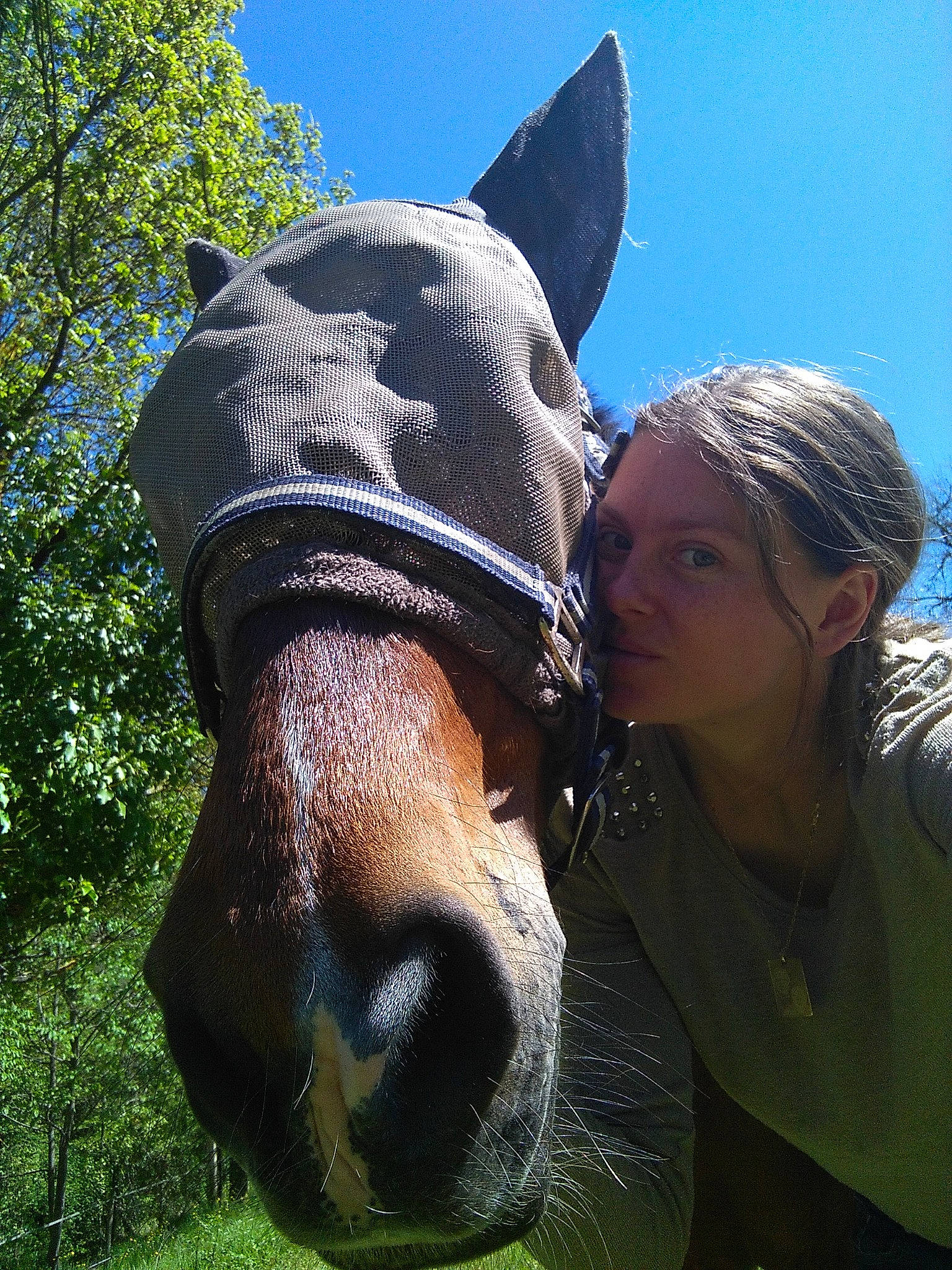Sheytan participe au concours pour gagner de l'argent avec cette photo : art, bridle, ear, fawn, halter, head, headwear, horse, horse_supplies, horse_tack, mane, mare, nose, pack_animal, person, photography, rein, snout, stallion