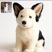 Tayla participe au concours pour gagner de l'argent avec cette photo : animal, black_and_white, closeup, comparison, curious_expression, cute, dog, ears, floor, fur, indoor, inset_photo, pet, plush_toy, portrait, real_dog, sitting, studio_lighting, stuffed_animal, toy