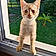 Alfi