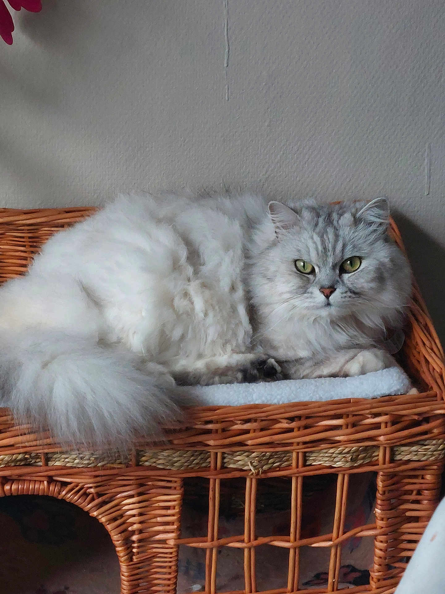 Romeo