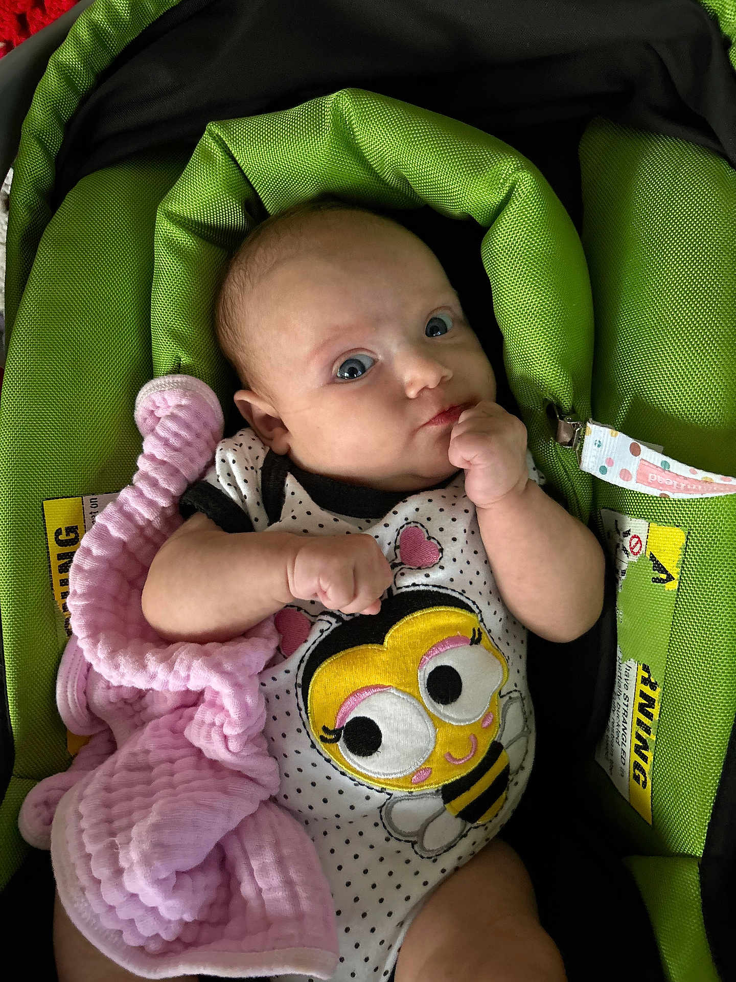 Lilly joined the competition — help win amazing prizes! baby, infant, car_seat, blanket, clothing, green, pink, cute, face, person, child, cute_outfit, indoor, young, holding, expression, soft_toy, comfort, seat, portrait