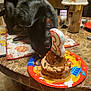 black_cat, cat, birthday_cake, number_candle, table, placemat, lamp, indoor, curious, pet, animal, celebration, food, plate, marble_table, kitchen, close_up, festive, sniffing, domestic