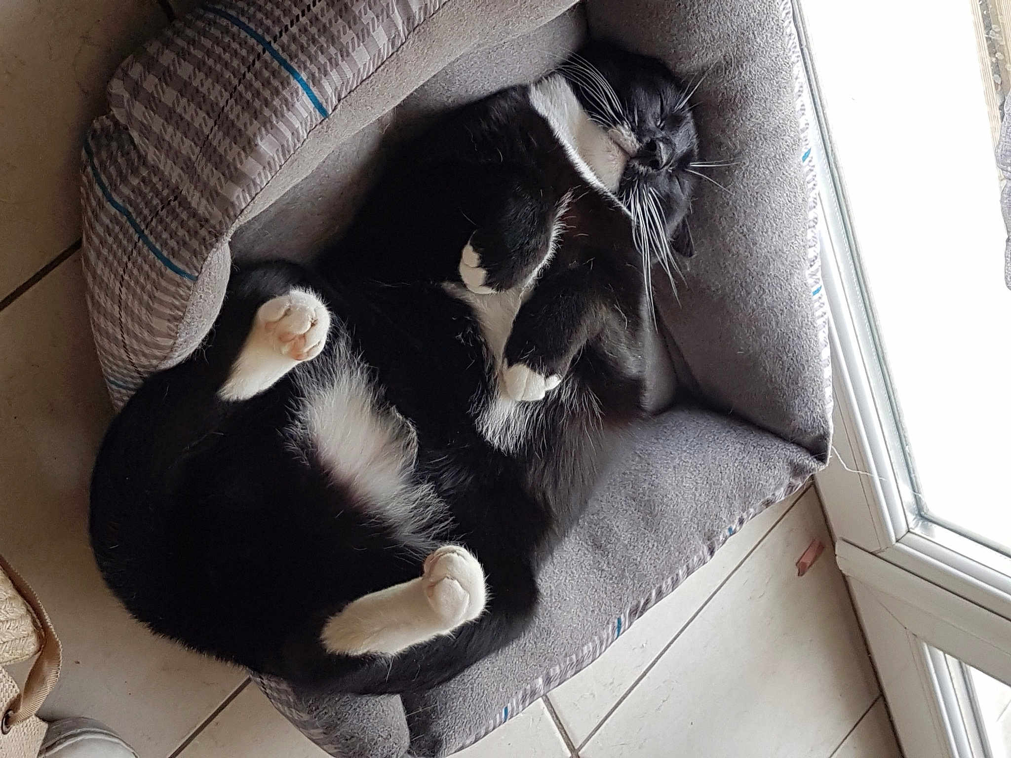 Zeus