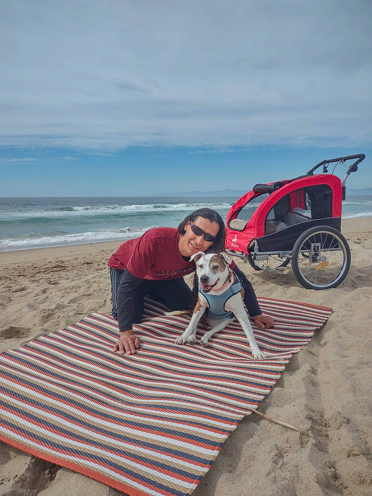 Rapunzel is registered to the contest to win money with this photo: baby_carriage, beach, carnivore, cloud, companion_dog, cycling, dog, dog_breed, fun, horizon, leisure, ocean, recreation, shorts, sitting, sky, tire, travel, water, wheel