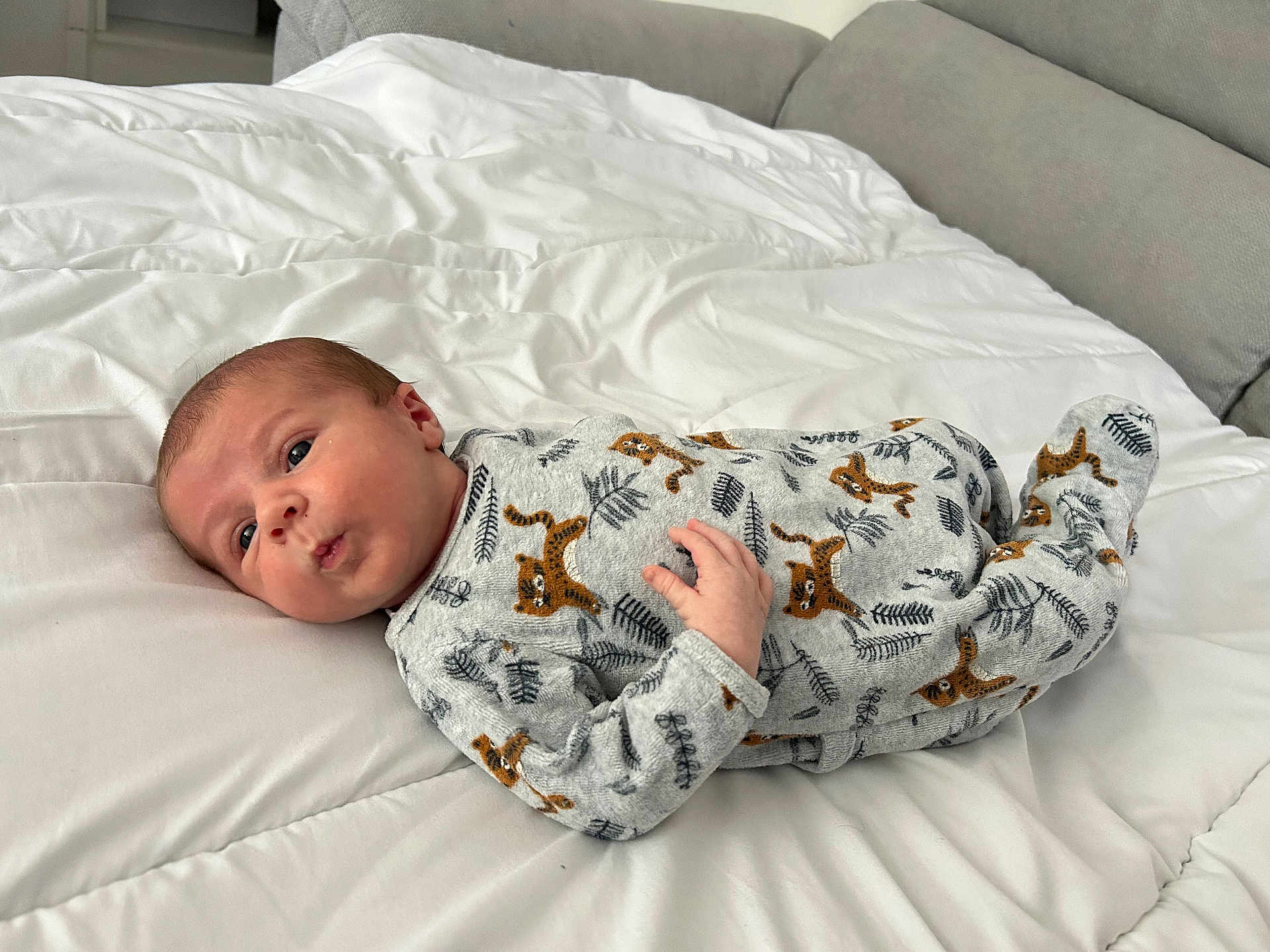 Arthur a rejoint le concours — aidez-le/la à gagner de superbes lots ! baby, infant, lying_down, bed, blanket, onesie, animal_print, tiger_pattern, white_bedspread, curious_expression, small_hand, sleepwear, indoors, soft_fabric, person, child, cute, cozy, face, head